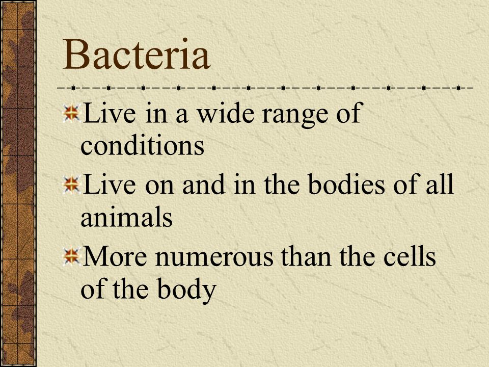 Bacteria Live in a wide range of conditions