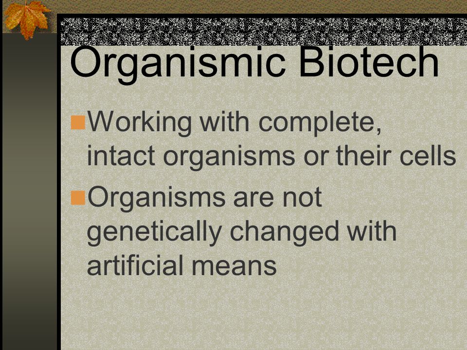 Organismic Biotech Working with complete, intact organisms or their cells.