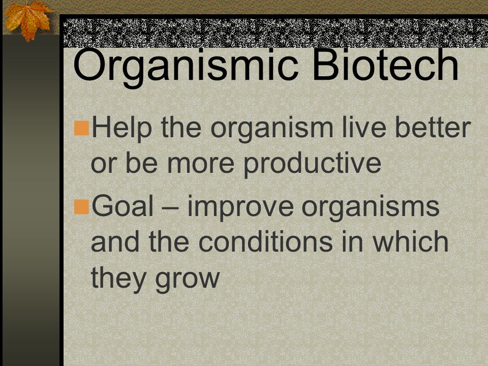 Organismic Biotech Help the organism live better or be more productive