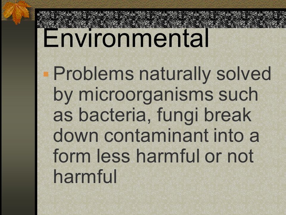 Environmental Problems naturally solved by microorganisms such as bacteria, fungi break down contaminant into a form less harmful or not harmful.