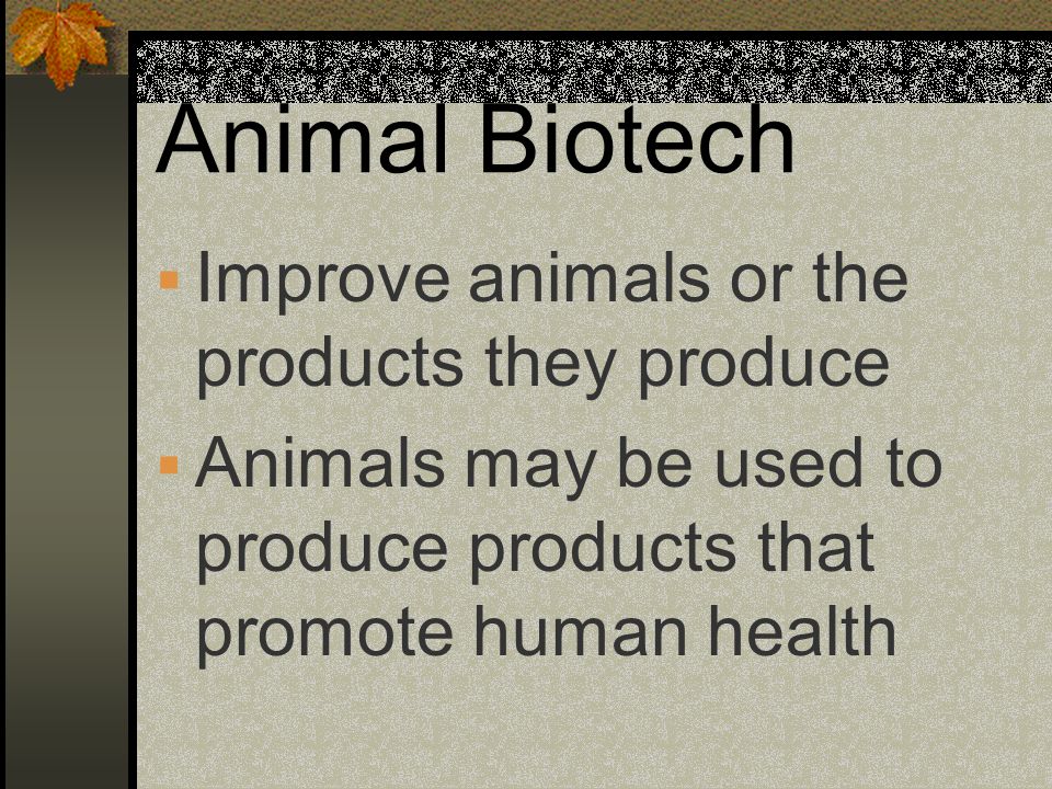 Animal Biotech Improve animals or the products they produce