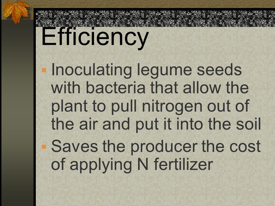 Efficiency Inoculating legume seeds with bacteria that allow the plant to pull nitrogen out of the air and put it into the soil.