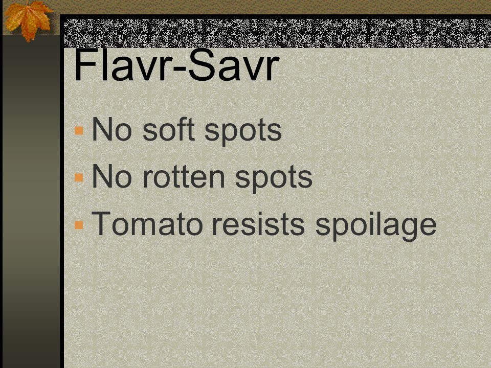 Flavr-Savr No soft spots No rotten spots Tomato resists spoilage