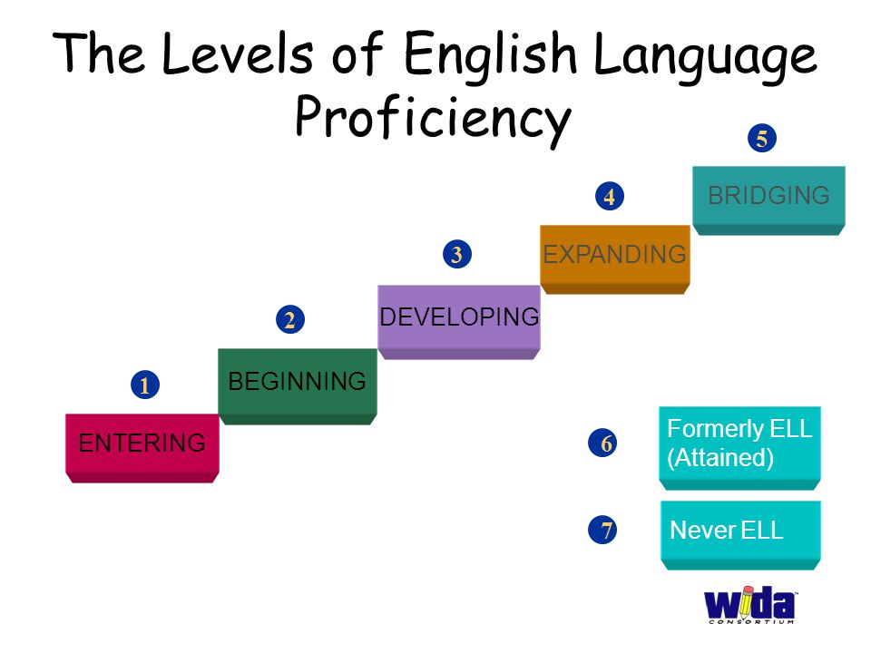 The Levels of English Language Proficiency