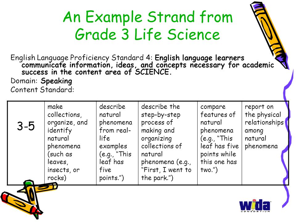 An Example Strand from Grade 3 Life Science