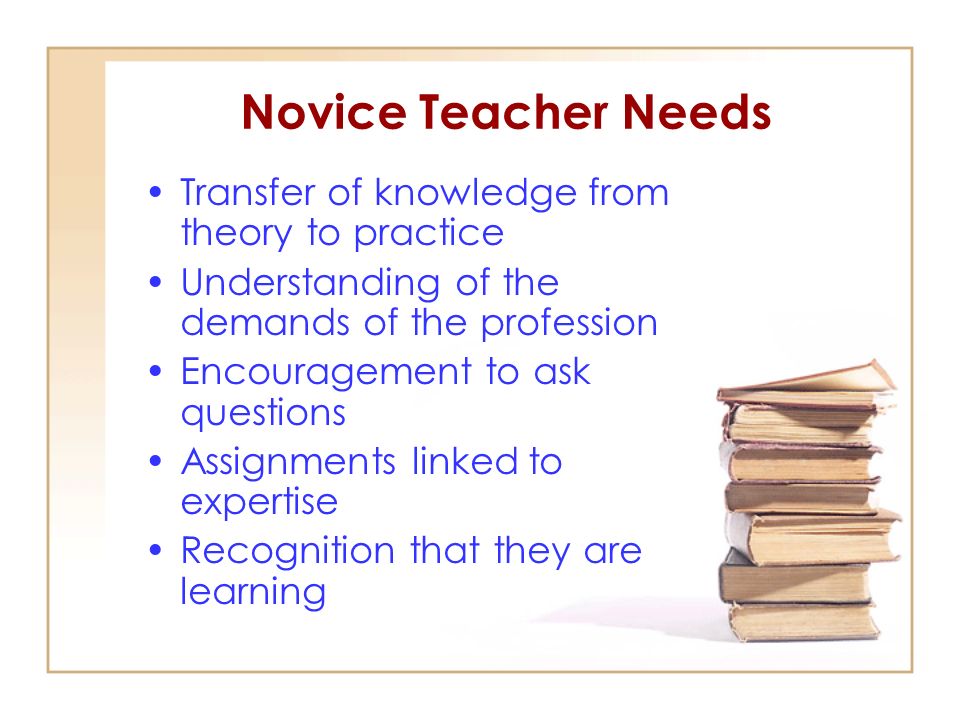 Novice Teacher Needs Transfer of knowledge from theory to practice