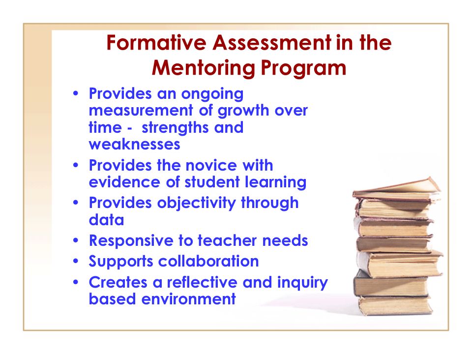 Formative Assessment in the Mentoring Program