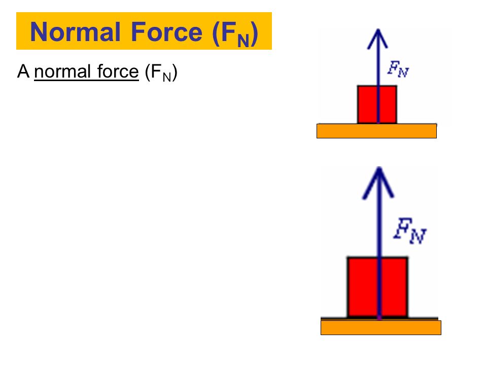 Normal Force (FN) A normal force (FN)