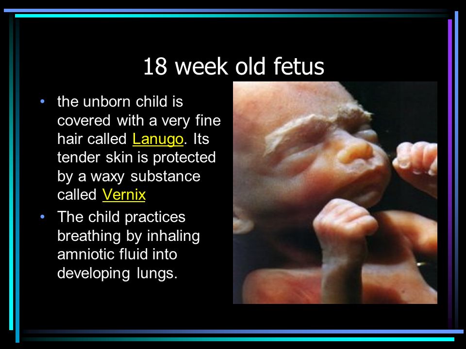 Pregnancy Health Education Ppt Video Online Download