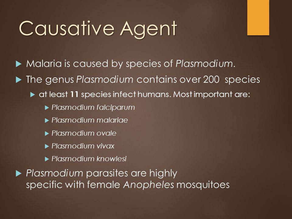 what is the causative organism for malaria