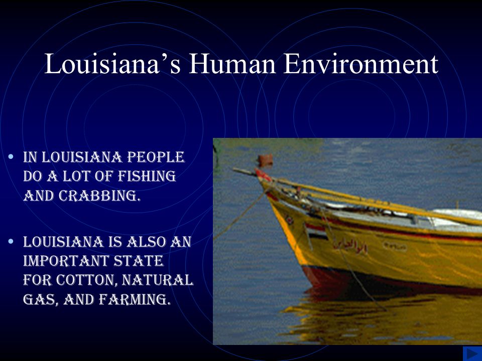 Louisiana’s Human Environment
