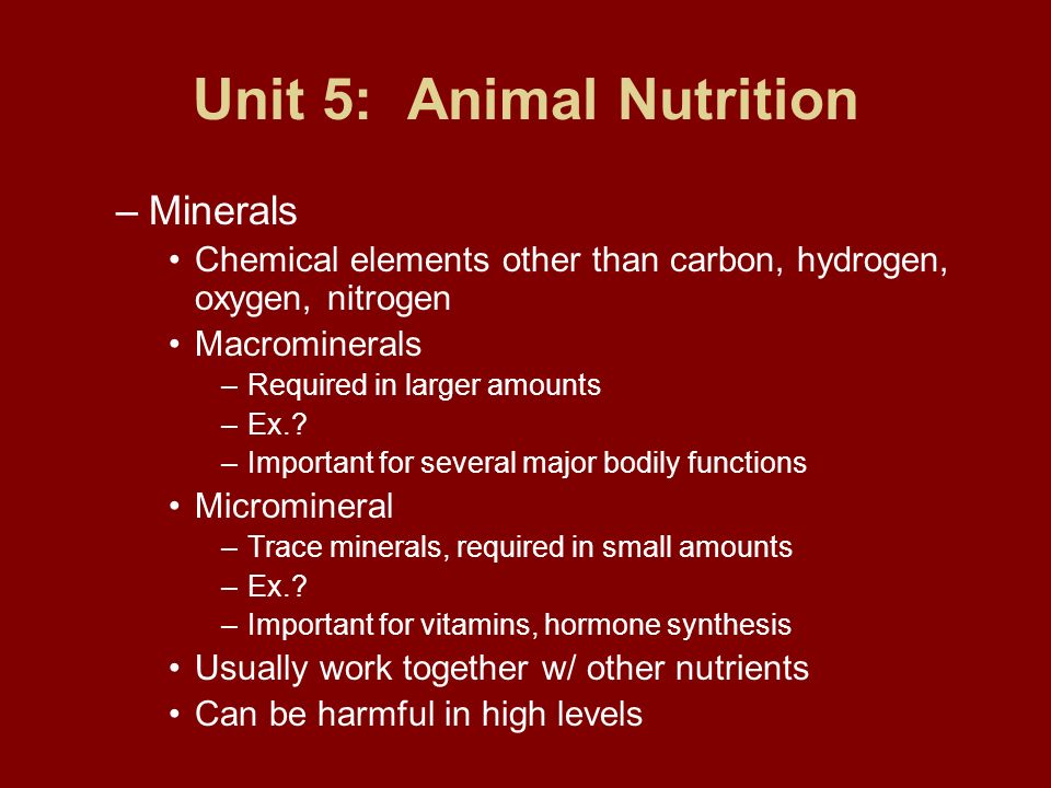 Unit 5: Animal Nutrition - ppt download