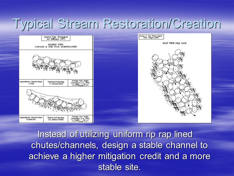 Typical Stream Restoration/Creation