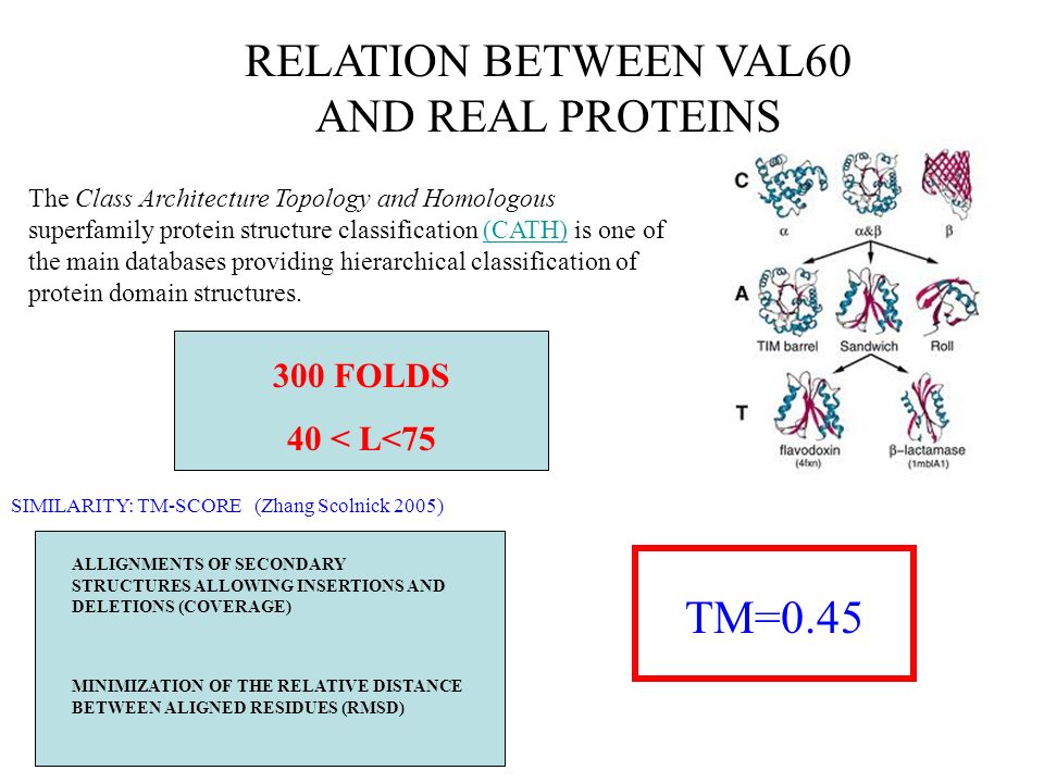 RELATION BETWEEN VAL60 AND REAL PROTEINS
