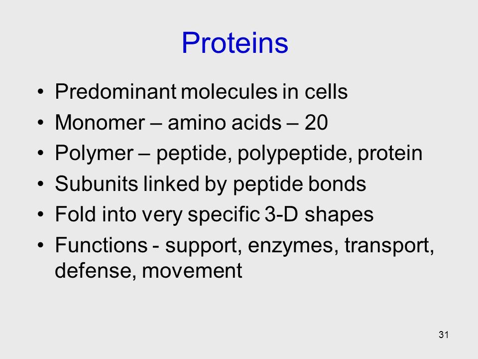 Proteins Predominant molecules in cells Monomer – amino acids – 20