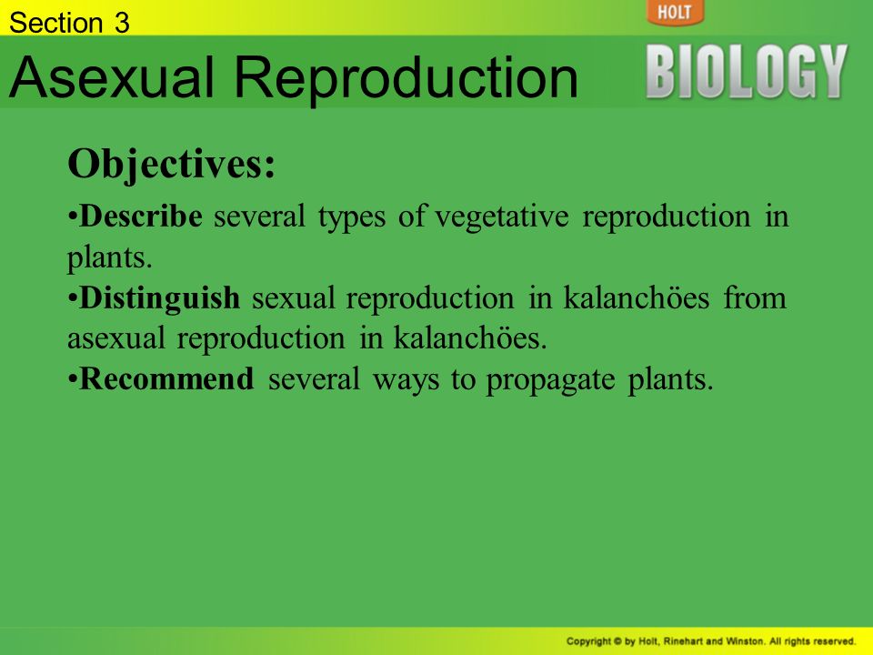 Asexual Reproduction Objectives: