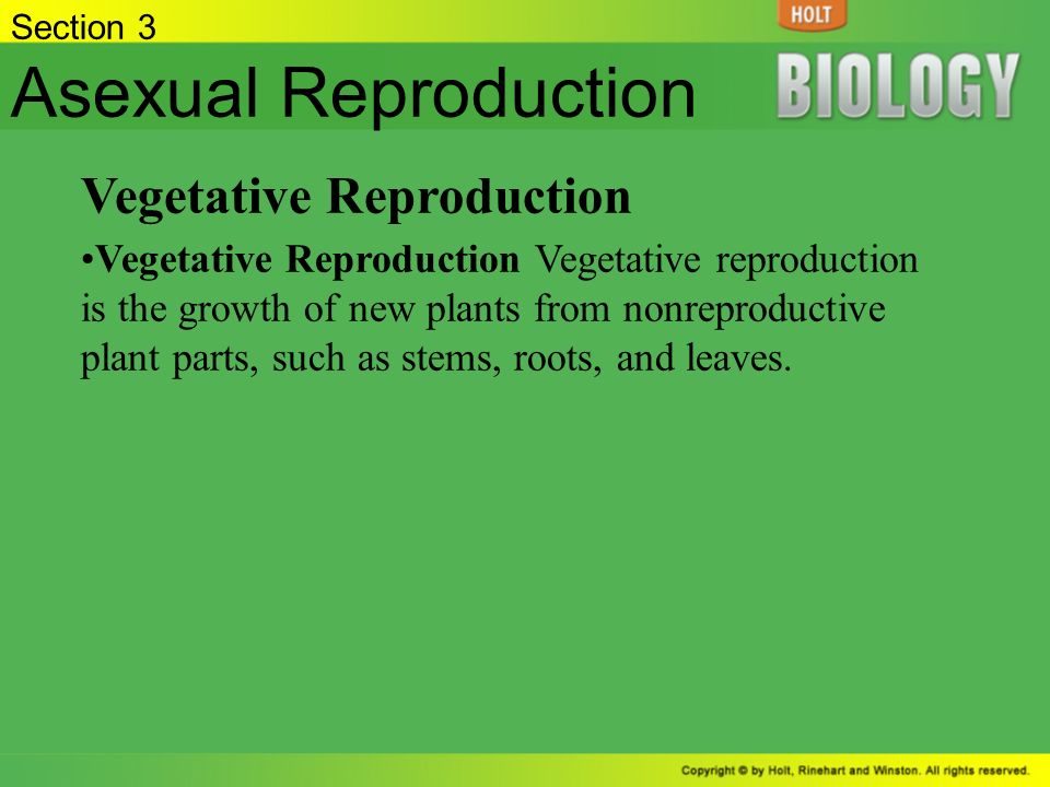Asexual Reproduction Vegetative Reproduction