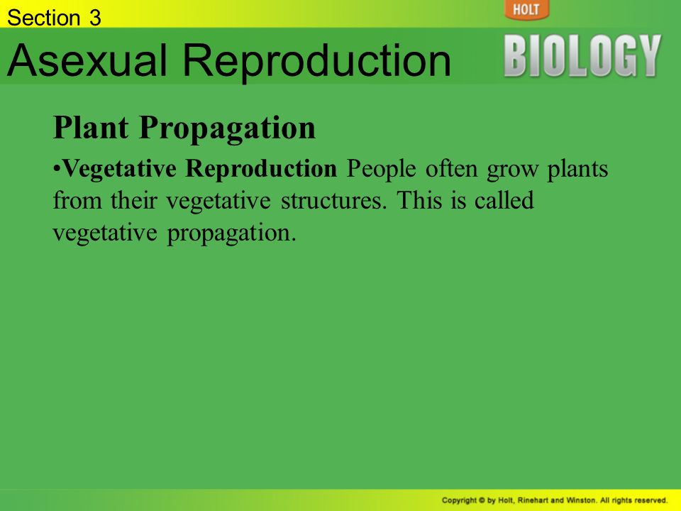 Asexual Reproduction Plant Propagation