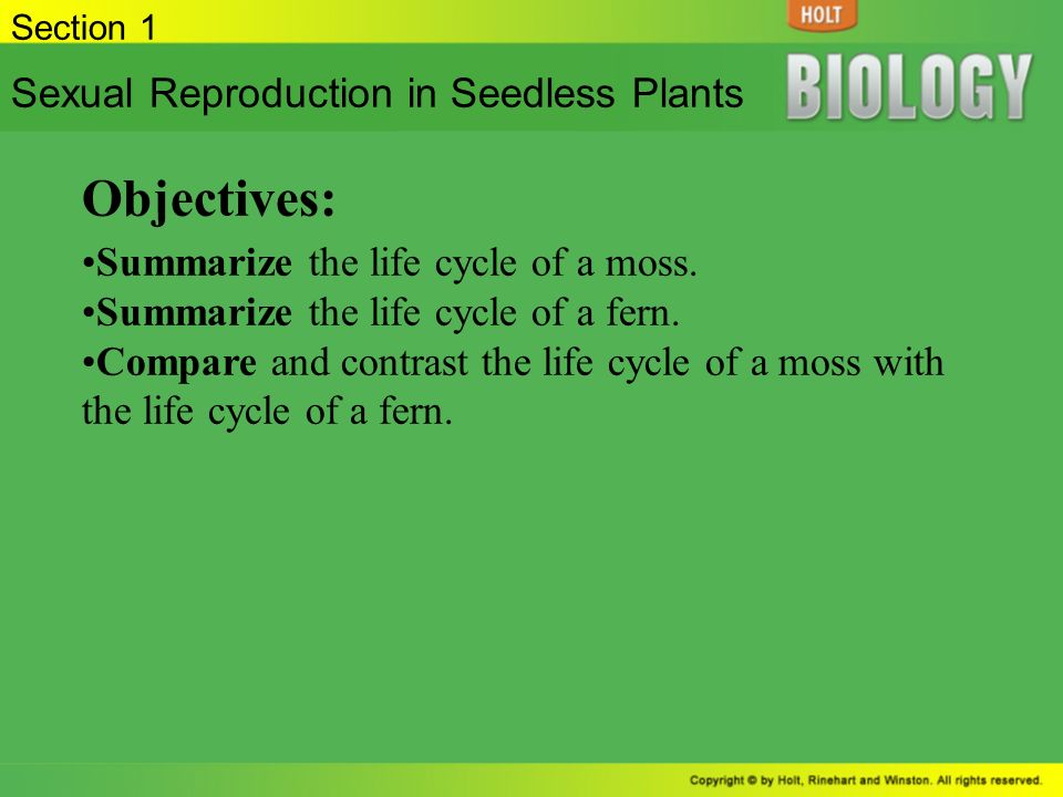 Objectives: Sexual Reproduction in Seedless Plants