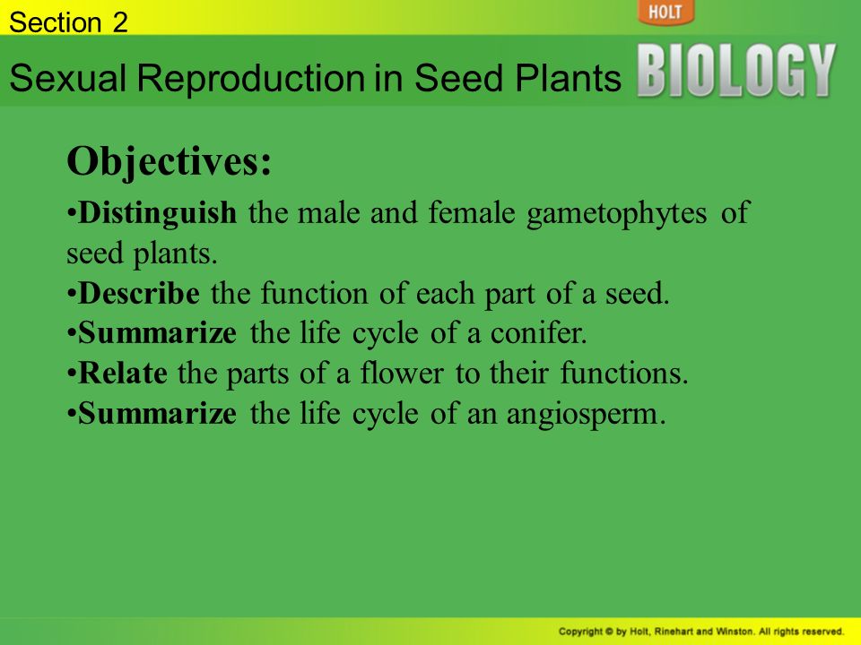 Objectives: Sexual Reproduction in Seed Plants