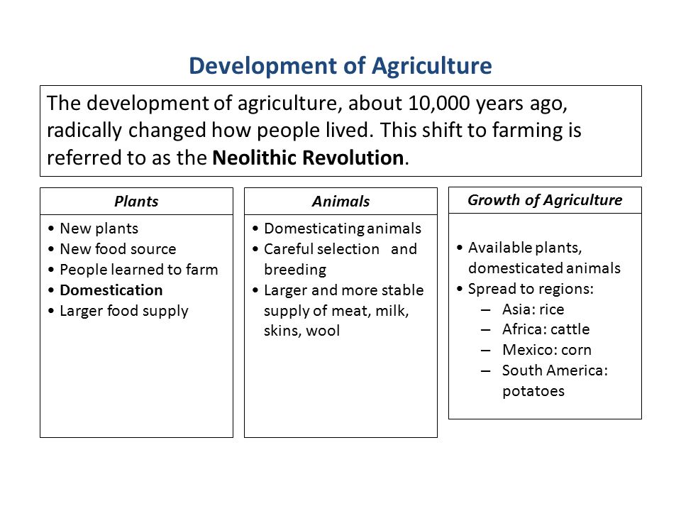 Agricultural Revolution Chart