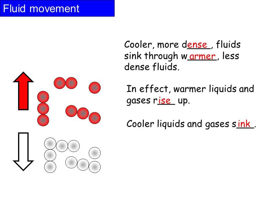 Fluid movement Cooler, more d____, fluids sink through w_____, less dense fluids. ense. armer. In effect, warmer liquids and gases r___ up.