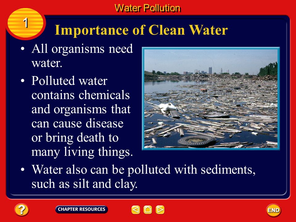 importance of water pollution