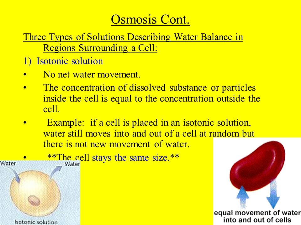 Osmosis Cont. Three Types of Solutions Describing Water Balance in Regions Surrounding a Cell: 1) Isotonic solution.