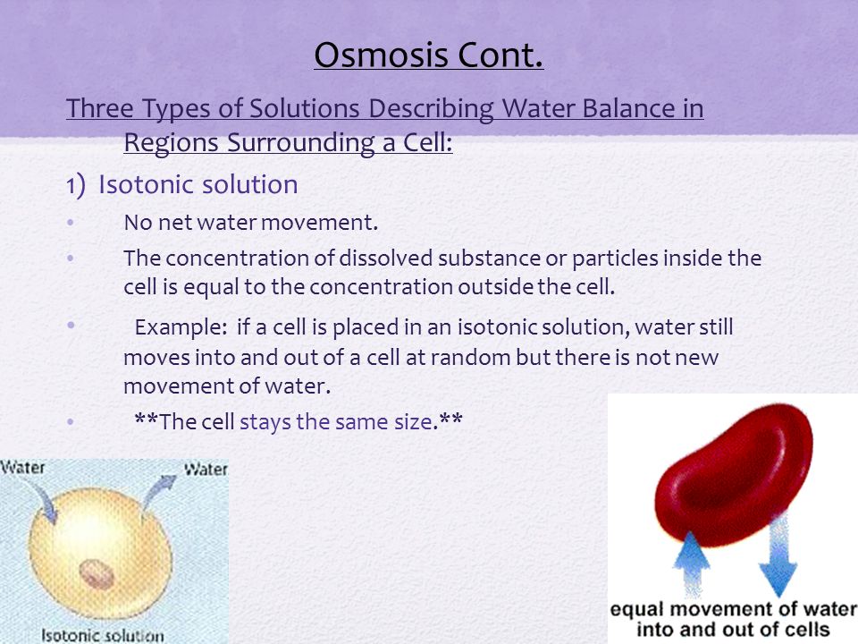 Osmosis Cont. Three Types of Solutions Describing Water Balance in Regions Surrounding a Cell: 1) Isotonic solution.
