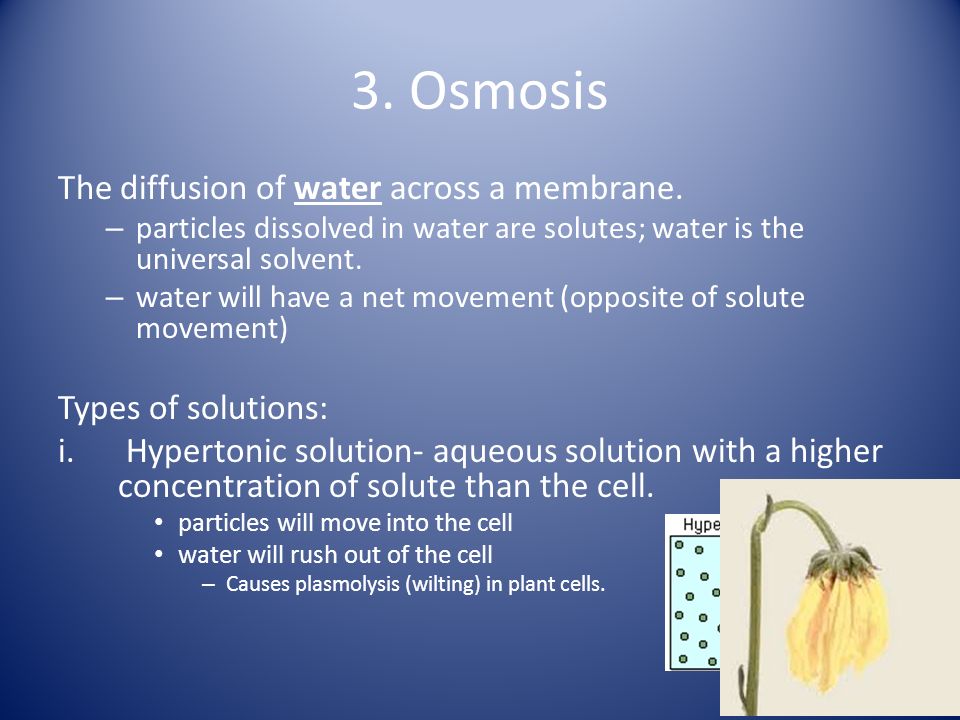 3. Osmosis The diffusion of water across a membrane.