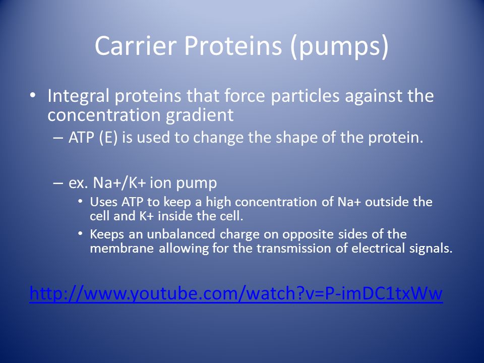 Carrier Proteins (pumps)