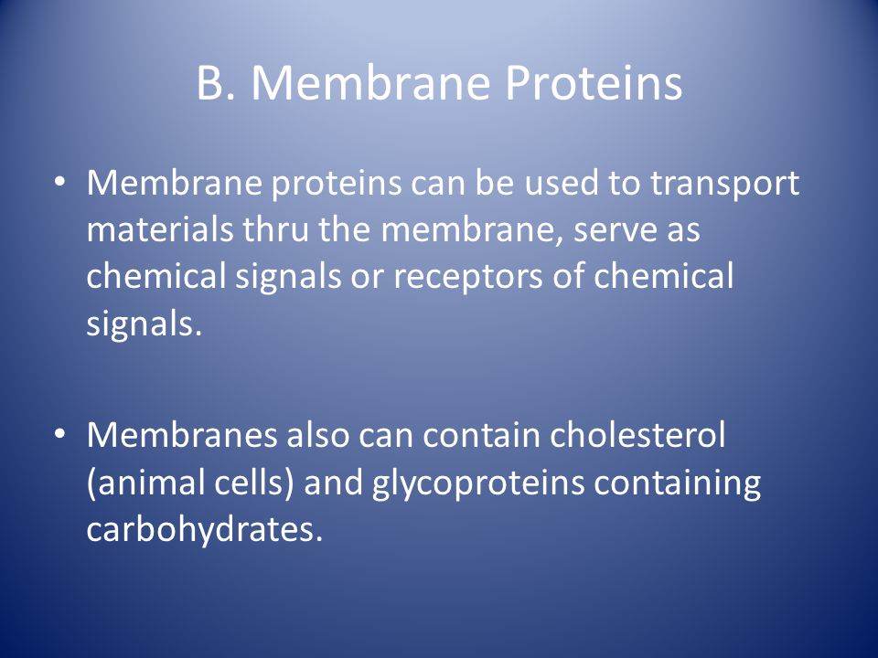 B. Membrane Proteins