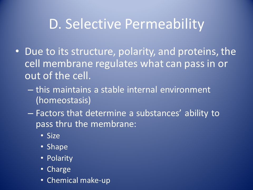 D. Selective Permeability