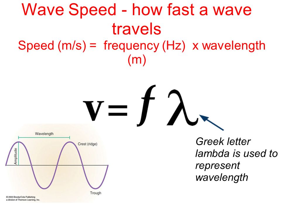 Wave Speed - how fast a wave travels Speed (m/s) = frequency (Hz) x wavelength (m)