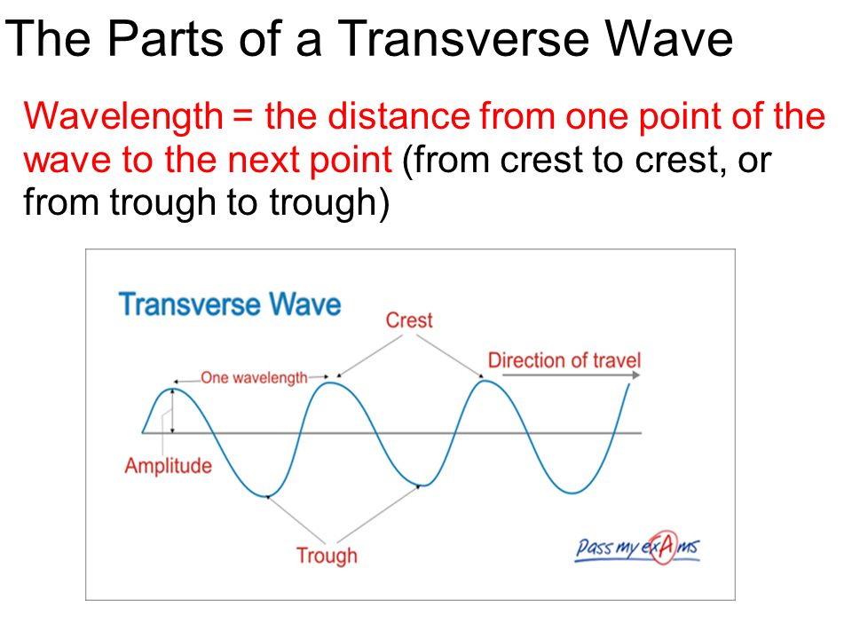 The Parts of a Transverse Wave