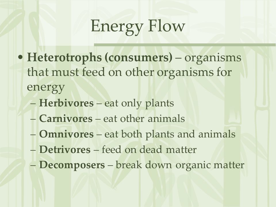 Energy Flow Heterotrophs (consumers) – organisms that must feed on other organisms for energy. Herbivores – eat only plants.