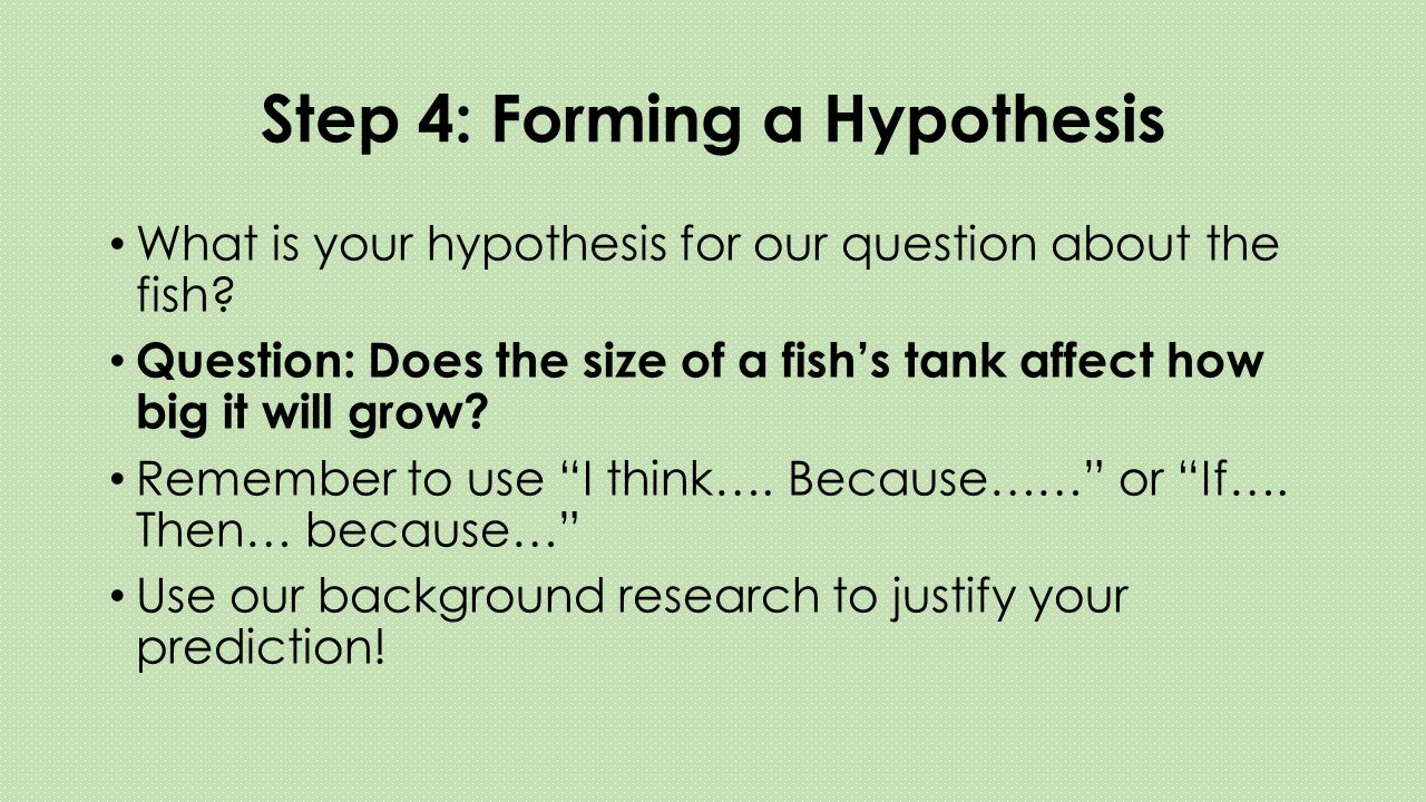 Step 4: Forming a Hypothesis