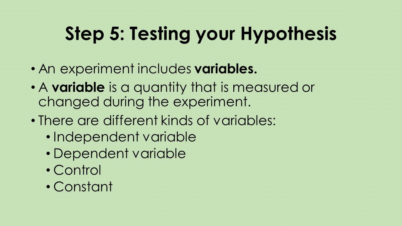 Step 5: Testing your Hypothesis