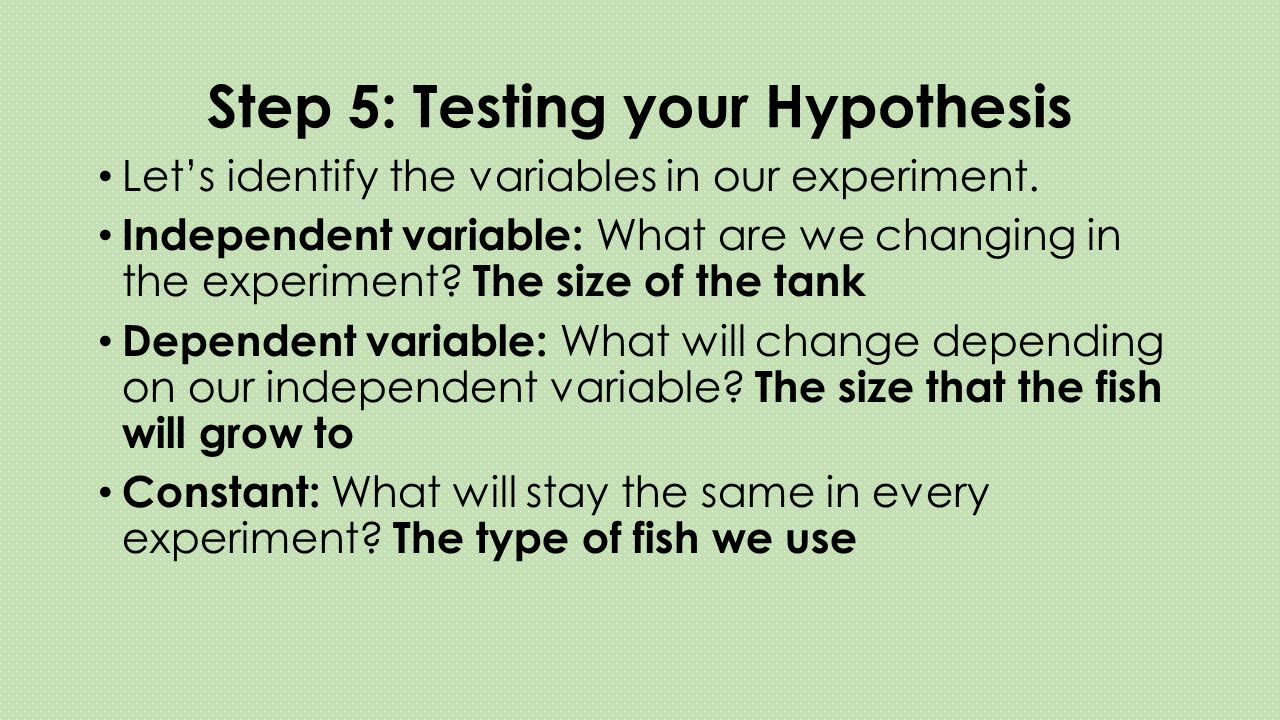 Step 5: Testing your Hypothesis