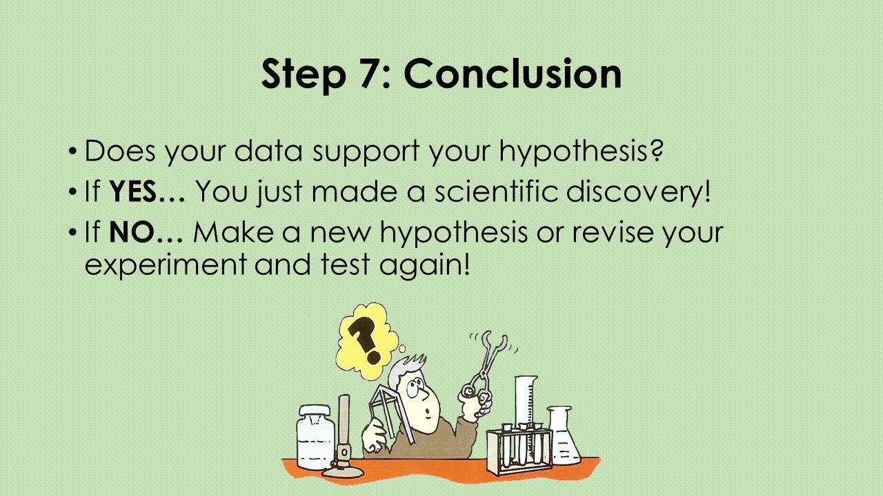 Step 7: Conclusion Does your data support your hypothesis