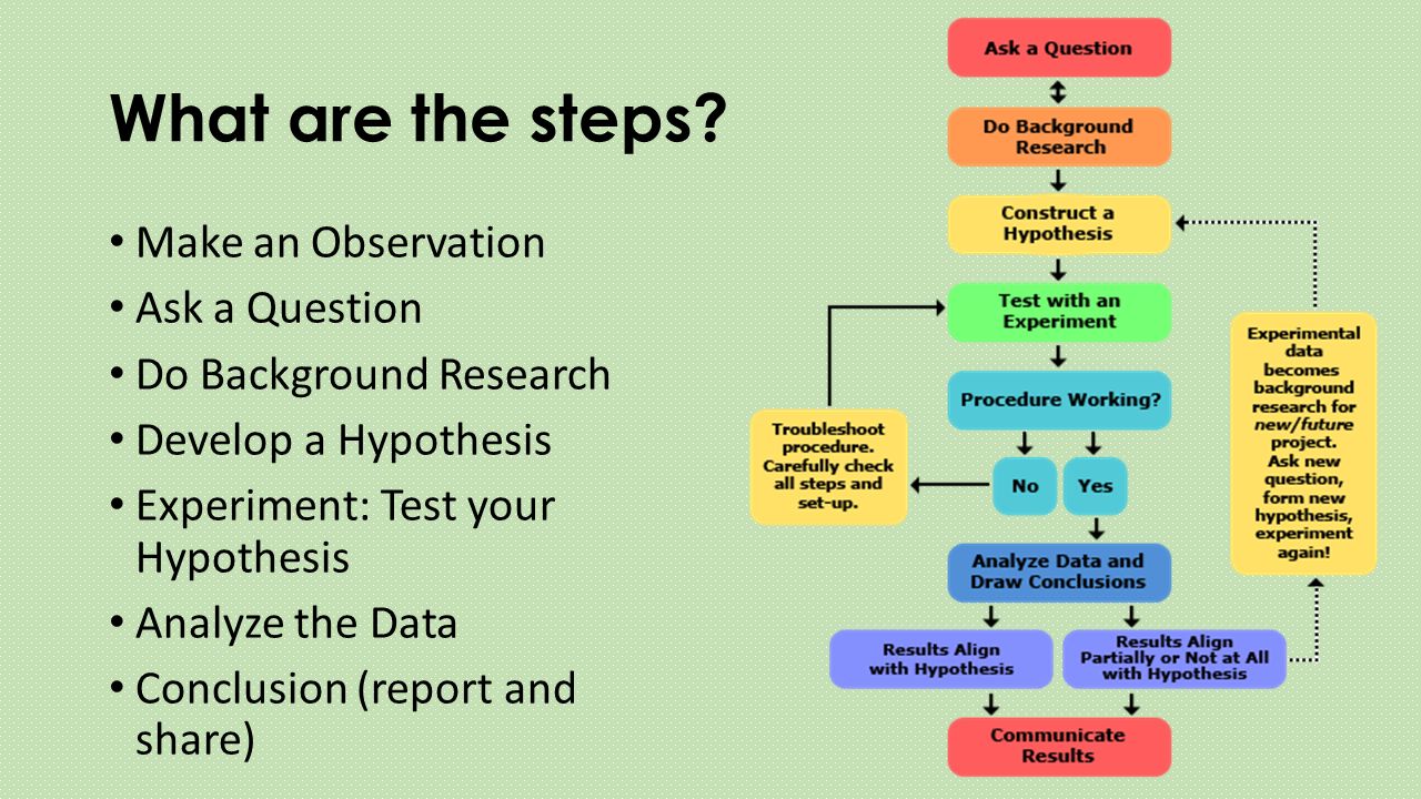 What are the steps Make an Observation Ask a Question