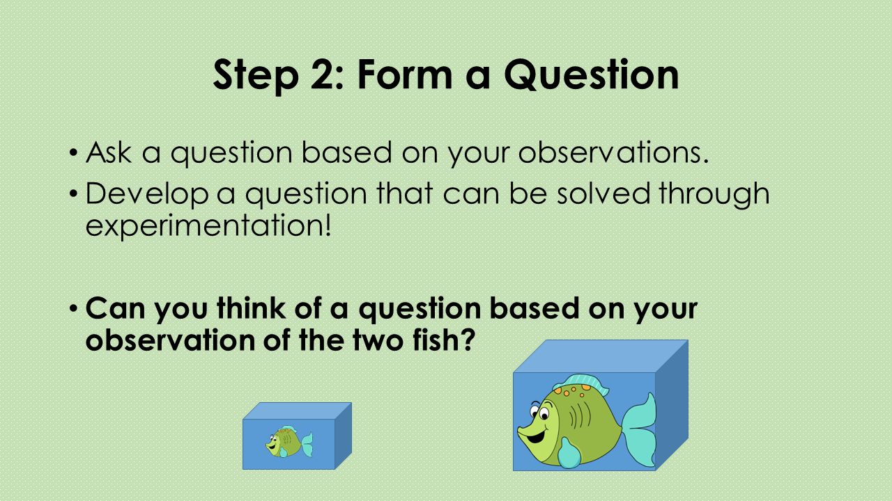 Step 2: Form a Question Ask a question based on your observations.