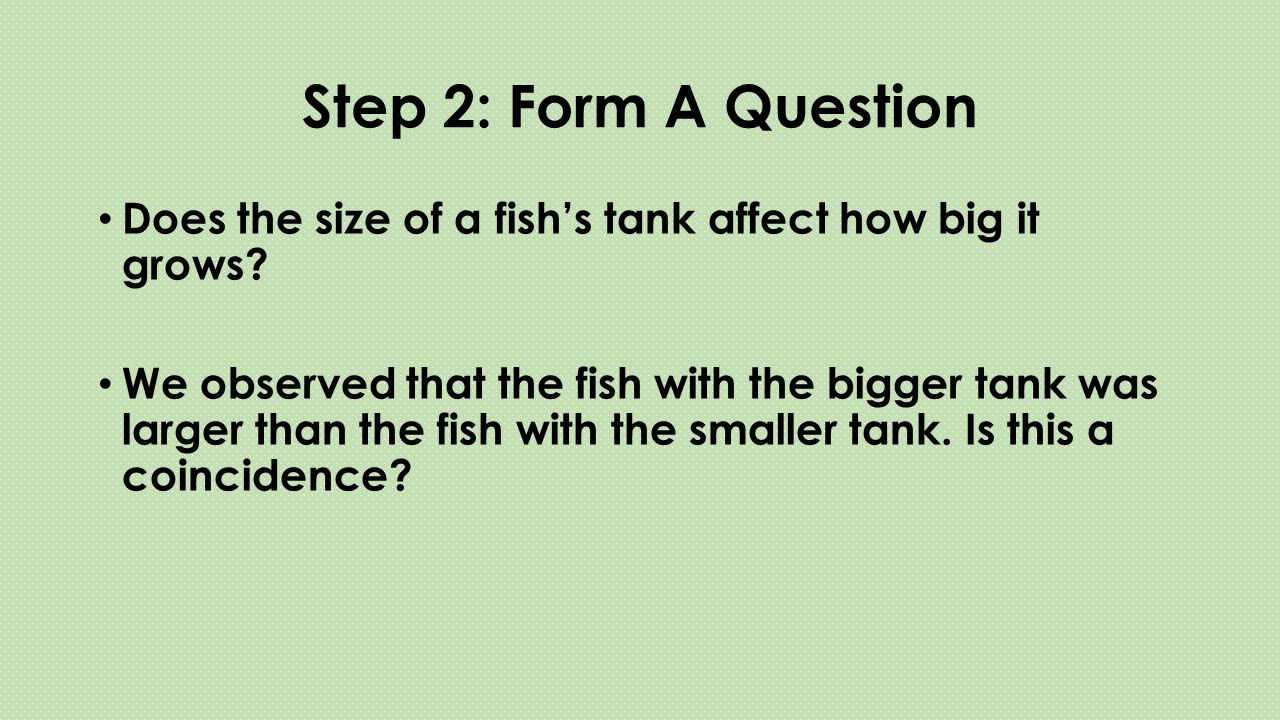 Step 2: Form A Question Does the size of a fish’s tank affect how big it grows