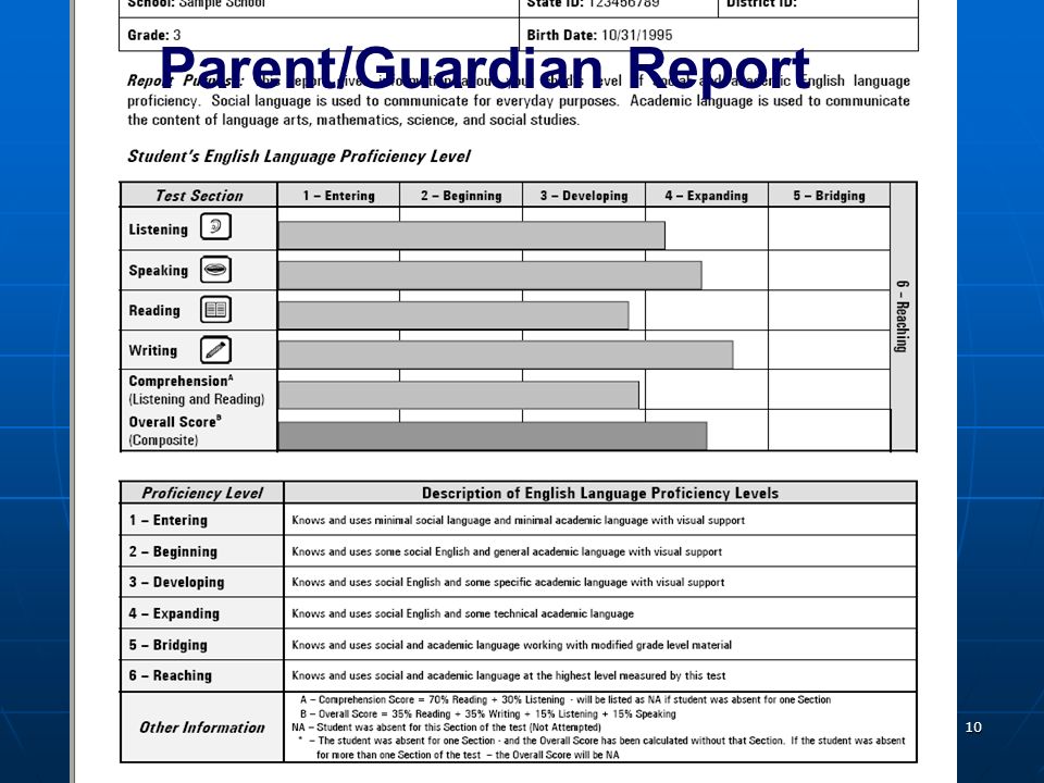 Parent/Guardian Report