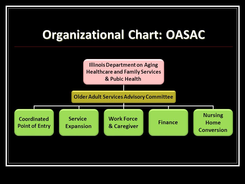 Home Health Care Organizational Chart