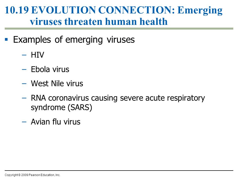 10.19 EVOLUTION CONNECTION: Emerging viruses threaten human health