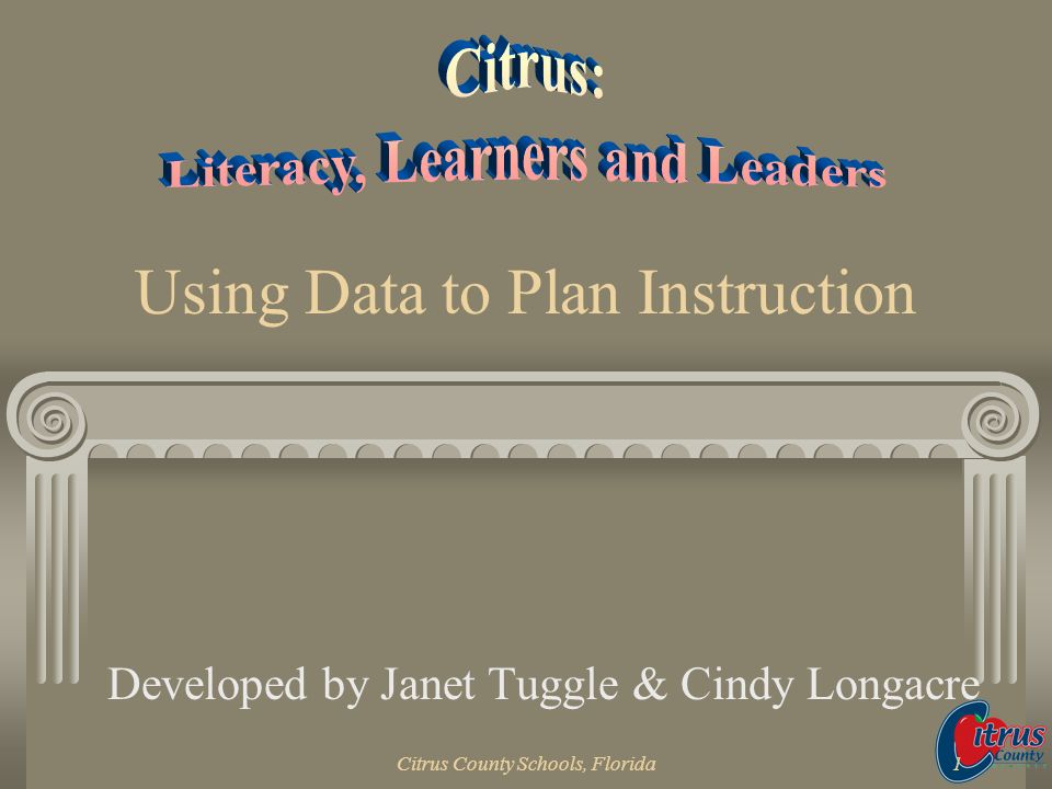 Using Data to Plan Instruction