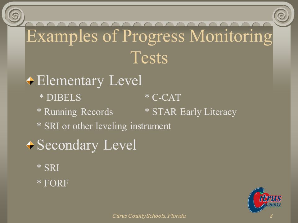 Examples of Progress Monitoring Tests