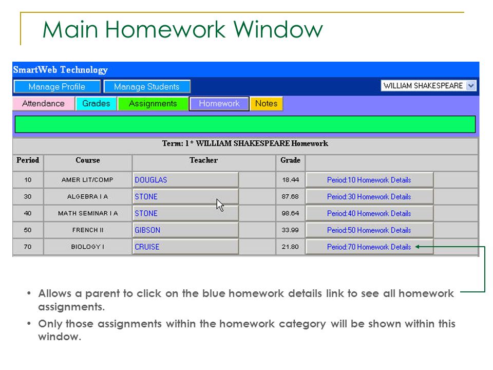 Main Homework Window