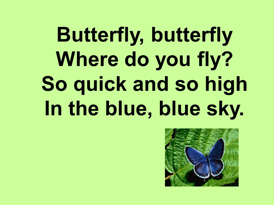 Fly как переводится на русский. Стихотворение на английском про бабочку. Стихи про бабочку на английском языке. Стих про бабочку на английском для детей. Butterfly стих на английском.